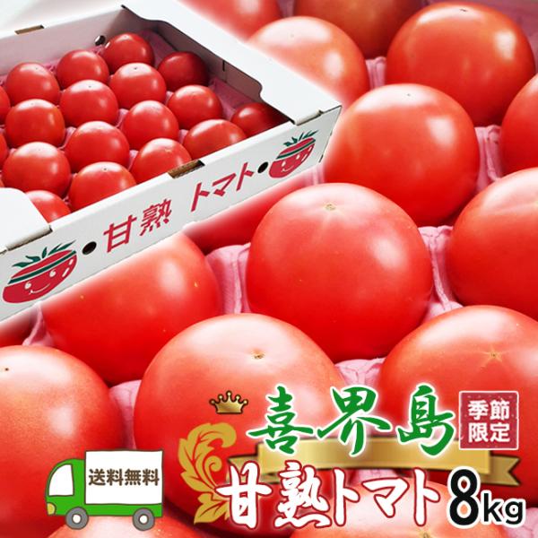 旬 喜界島トマト 甘熟トマト 40個〜48個 8kg Lサイズ 喜界島産