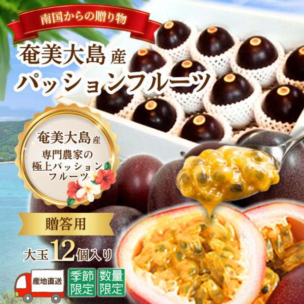 パッションフルーツ 奄美大島産 贈答用 お中元ギフト 大玉12個入り