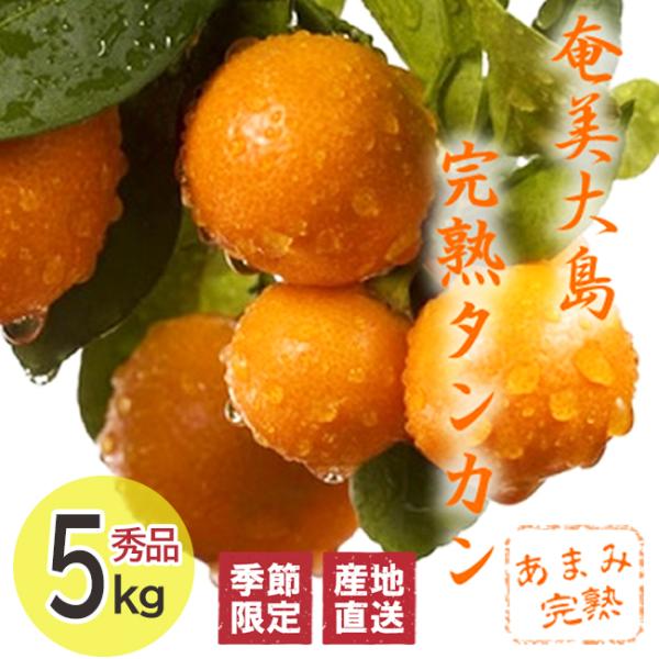 【秀品】奄美大島 完熟たんかん みかん 秀品5kg