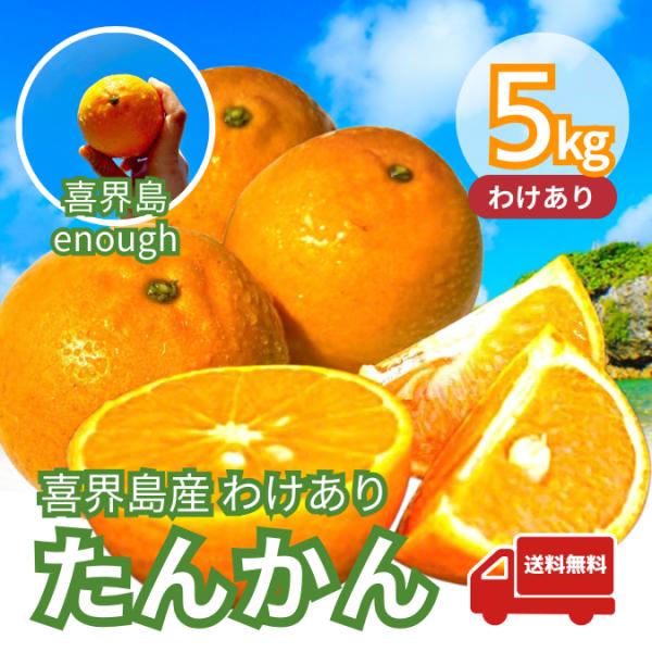 【訳あり】喜界島産たんかん 5kg ご家庭用・サイズ不揃い｜奄美群島・旬の柑橘