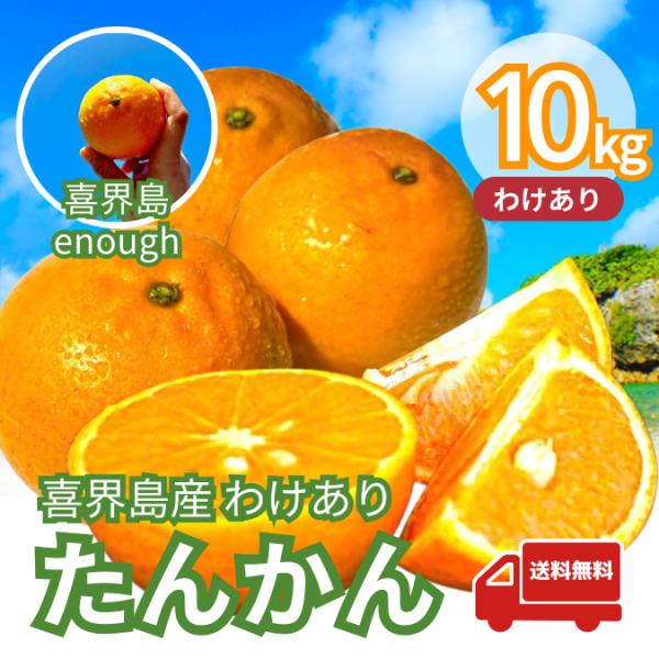 【訳あり】喜界島産たんかん 10kg ご家庭用・サイズ不揃い｜奄美群島・旬の柑橘