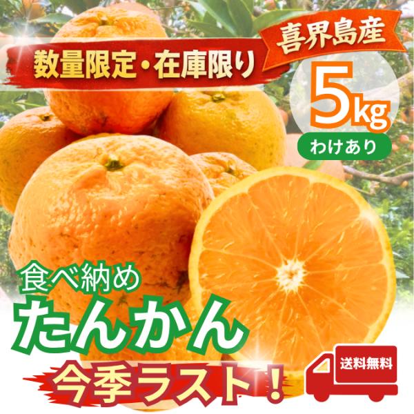 【数量限定】今季ラスト！喜界島産たんかん 食べ納めセール 訳ありみかん 小玉 5kg