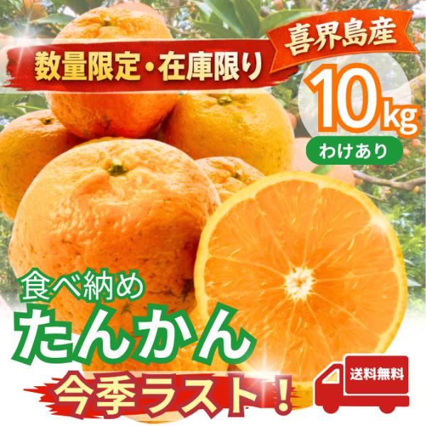 【数量限定】今季ラスト！喜界島産たんかん 食べ納めセール 訳ありみかん 小玉 10kg