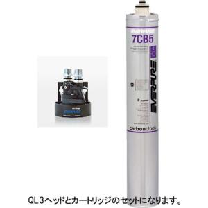 エバーピュア 浄水器 飲料水用 QL3-7CB5｜oishii-chubou