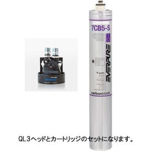 エバーピュア 浄水器 飲料水用 QL3-MC2 : 業務用厨房機器販売店