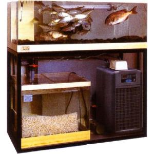 幅1200 奥行450 ゼンスイ 活魚水槽 潮シリーズ 潮1200ZS : 業務用厨房