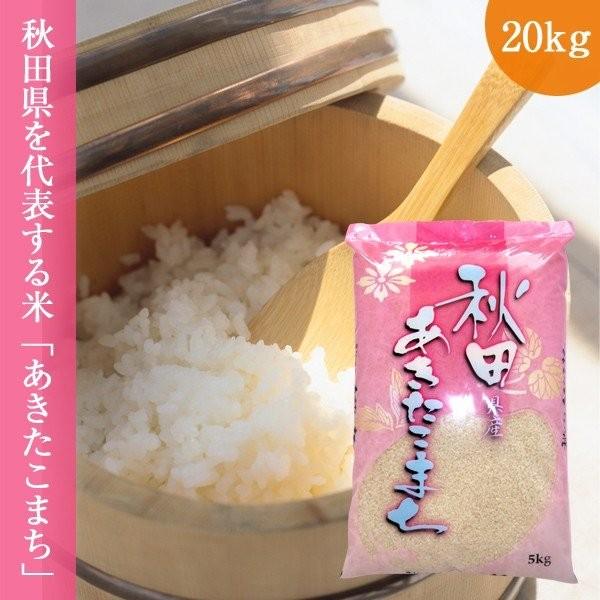 新米 あきたこまち 20kg (5kg×4袋 ) 令和5年産 送料無料 精白米 秋田県産 お米