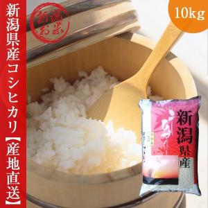 新潟 コシヒカリ 10kg 新米 令和3年産 5kg×2袋 送料無料｜oishii-foods