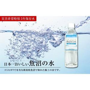 湧命水・レーザー LAiSER （500ml×2本入り） : コシラック 販売