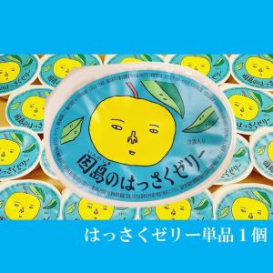 はっさくゼリー 単品 (1190016)の商品画像