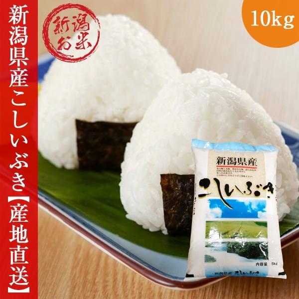 新米 新潟こしいぶき10kg(5kg×2) 令和5年度 コシイブキ 白米 送料無料 米 お米 