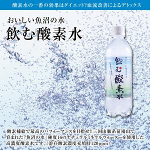 奥長良川名水 水 500ml 酸素水 高濃度酸素水 酸素イン O2イン 24本 × 2