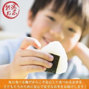 岩船産コシヒカリ 10kg (5kg×2) 令...の詳細画像1