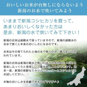 岩船産コシヒカリ 10kg (5kg×2) 令...の詳細画像3