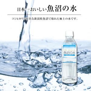 湧命水・レーザー LAiSER （500ml×2本入り） : コシラック 販売