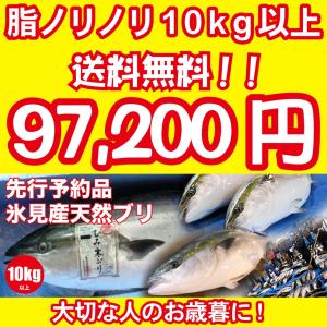 2023年入荷次第発送開始 [天然ブリの王様！美味しい魚特選海鮮ギフト］氷見産 天然寒ブリ10kg以上［国産］［通常便］