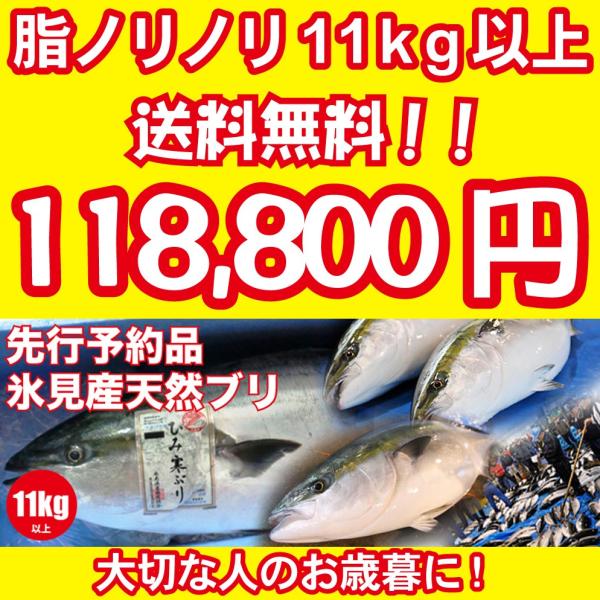 2023年入荷次第発送開始 [天然ブリの王様！美味しい魚特選海鮮ギフト］氷見産 天然寒ブリ11kg以...