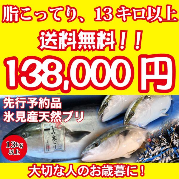 2023年入荷次第発送開始 [天然ブリの王様！美味しい魚特選海鮮ギフト］氷見産 天然寒ブリ13kg以...