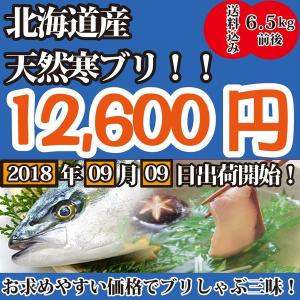 一流料理人御用達！2023年8月9月10月だけの限定販売！北海道産寒ブリ6.5キロ前後【送料無料】｜oishii-sakana