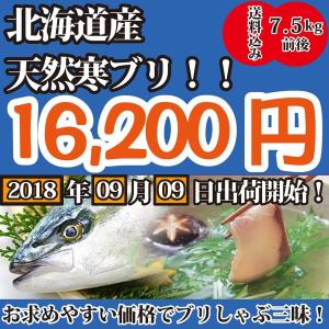 一流料理人御用達！2023年8月9月10月だけの限定販売！北海道産寒ブリ7.5キロ前後【送料無料】｜oishii-sakana