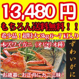 （超特大本ズワイガニ美味しい魚特選海鮮ギフト） ズワイガニ3.0kg【6〜7肩】（生ずわいがにセクション）（ロシア産）（冷凍便）｜oishii-sakana