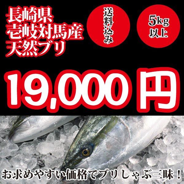 2023年入荷次第発送開始！　壱岐対馬産 天然寒ブリ5kg以上