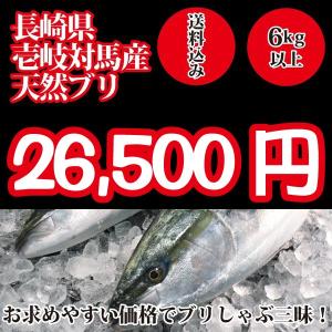 2023年入荷次第発送開始！　壱岐対馬産 天然寒ブリ6kg以上