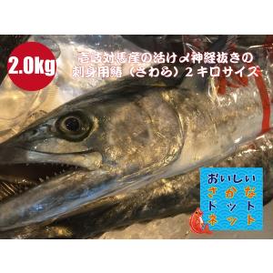 鰆 価格の商品一覧 通販 Yahoo ショッピング