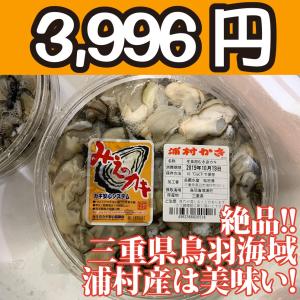 送料無料！【冷凍じゃない！】水に浸かっていないので縮みにくい牡蠣です。三重県鳥羽浦村産の生牡蠣むき身（特大） 500g 円盤パック1個｜oishii-sakana