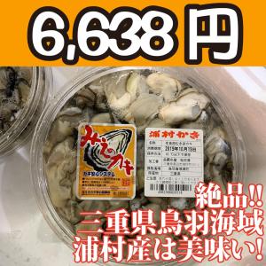 送料無料！【冷凍じゃない！】水に浸かっていないので縮みにくい牡蠣です。三重県鳥羽浦村産の生牡蠣むき身（特大） 500g 円盤パック2個｜oishii-sakana
