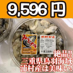 送料無料！【冷凍じゃない！】水に浸かっていないので縮みにくい牡蠣です。三重県鳥羽浦村産の生牡蠣むき身（特大） 500g 円盤パック3個｜oishii-sakana