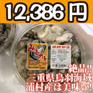 送料無料！【冷凍じゃない！】水に浸かっていないので縮みにくい牡蠣です。三重県鳥羽浦村産の生牡蠣むき身（特大） 500g 円盤パック4個｜oishii-sakana
