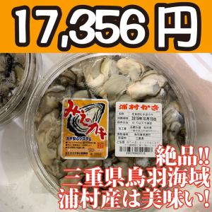 送料無料！【冷凍じゃない！】水に浸かっていないので縮みにくい牡蠣です。三重県鳥羽浦村産の生牡蠣むき身（特大） 500g 円盤パック6個｜oishii-sakana