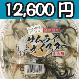 送料無料！【冷凍じゃない！】水に浸かっていないので縮みにくい牡蠣です。兵庫県坂越産の生牡蠣むき身（特大） 500g 円盤パック6個｜oishii-sakana