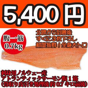 刺身用ノルウェー産アトランティックトロサーモン腹１すじ（骨取り皮引き処理後