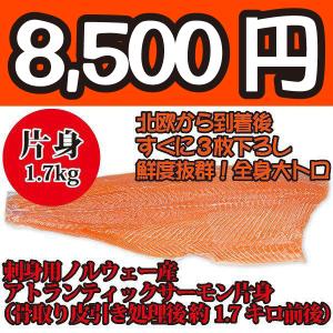 刺身用ノルウェー産アトランティックトロサーモン片身（骨取り皮引き処理後