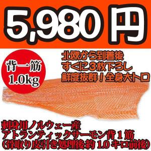 刺身用ノルウェー産アトランティックトロサーモン背１すじ（骨取り皮引き処理後
