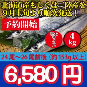 予約受付！【お刺身用】2019予約開始【北海道・九州・沖縄県発送不可】クール便で発送！北海道産もしくは三陸産生新サンマ4kgで約24〜26尾前後 特大サイズ｜oishii-sakana