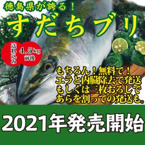 養殖ブリの商品一覧 通販 Yahoo ショッピング