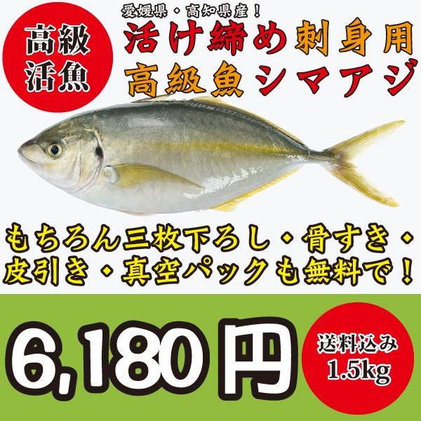 シマアジ 魚 値段