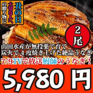 鰻　国産　蒲焼　父の日ギフト　特大2本！222g！山田水産が世界に誇る鰻師の無投薬うなぎの蒲焼き約222g2本【冷凍】｜oishii-sakana