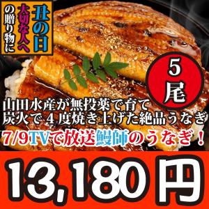 鰻　国産　蒲焼　父の日ギフト　特大5本！222g！山田水産が世界に誇る鰻師の無投薬うなぎの蒲焼き約222g5本【冷凍】