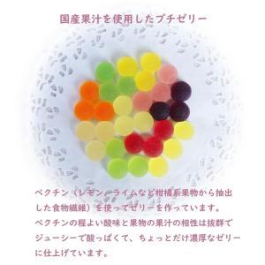 八雲製菓 国産果汁 プチゼリー お試し6品セッ...の詳細画像3