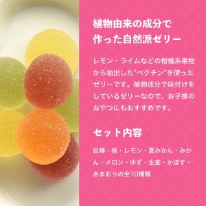 八雲製菓 国産果汁 プチゼリー 10種類のミッ...の詳細画像3
