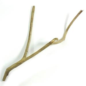 流木素材 枝流木MB-S21 46cm 流木インテリア  返金保証