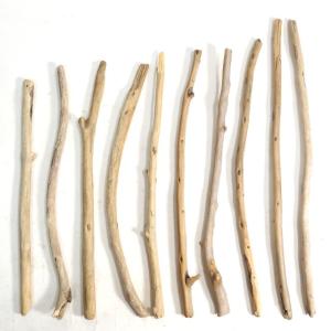 流木セミオーダーMSSO-S30AA10 棒流木10本 30cm前後×太さ1cm前後