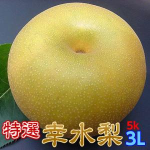 梨 幸水 ギフト なし 完熟 幸水梨 特選 3L以上 5kg箱 贈答用 プレゼント 茨城県産 和梨 Japanese pear