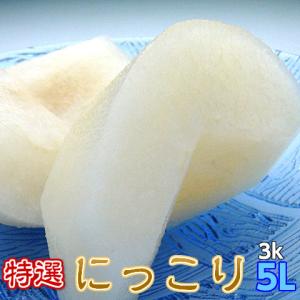 梨 にっこり ギフト なし 完熟 にっこり梨 特選 5L以上 3kg箱  贈答用 プレゼント 大玉 茨城県産 和梨
