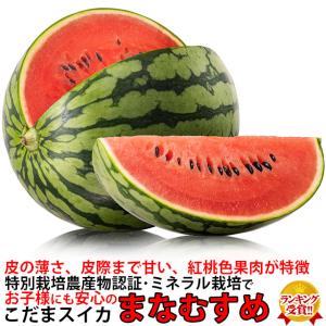 小玉 スイカ ギフト 紅こだま西瓜 まなむすめ 2L 1玉 すいか 西瓜 茨城 産地直送 watermelon｜oishiine-ibaraki