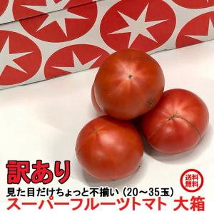 訳あり お試し フルーツトマト スーパーフルーツ トマト 大箱 20〜35玉 約2.3kg  とまと  茨城 産地直送｜oishiine-ibaraki